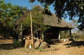 The Pottery Shed