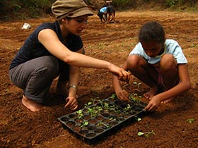 Vegetables are harvested from the garden