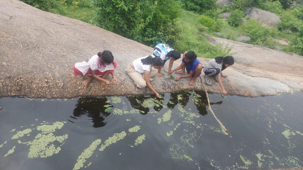 Conversations about pedagogy, 2024