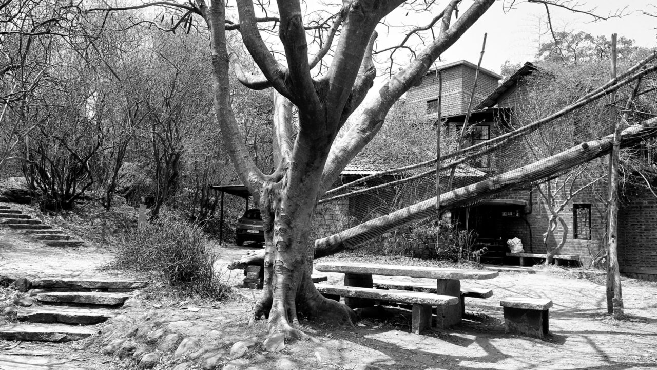 Alumni Seminar, August 2025